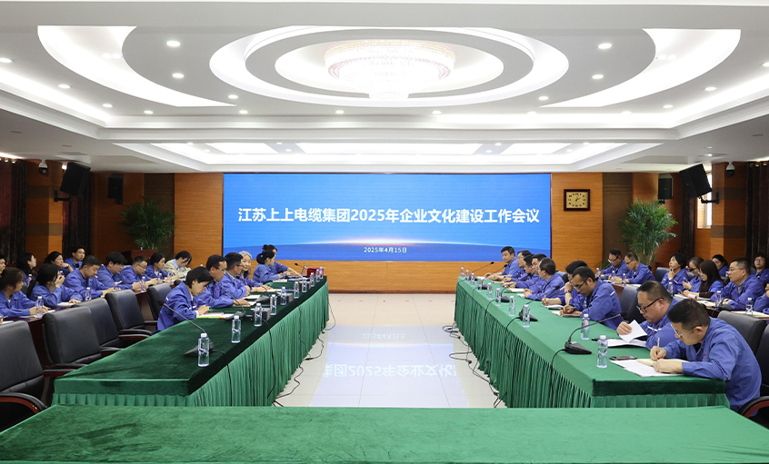 上上電(dian)纜召開2025年(nian)齊(qi)業文(wén)化建(jian)設(shè)工(gong)作(zuò)會議